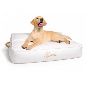 Doggy-cloud-1.jpg